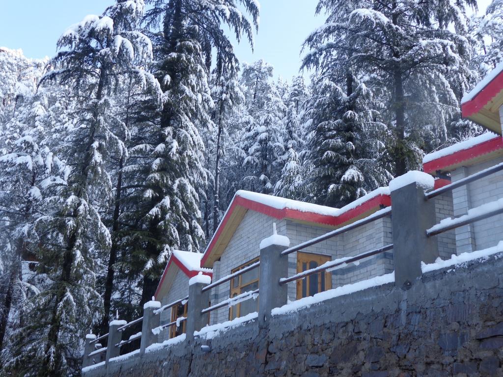 Village Live In Resort Chail Ngoại thất bức ảnh