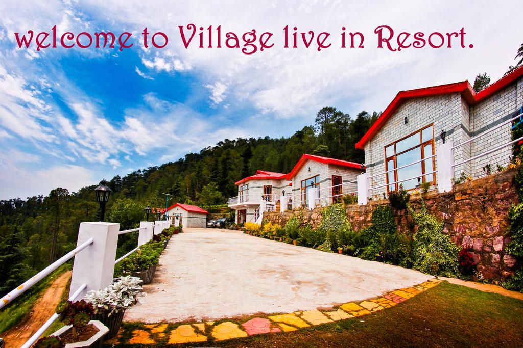 Village Live In Resort Chail Ngoại thất bức ảnh
